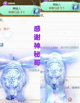金麒麟安静唱歌🎤主播照片