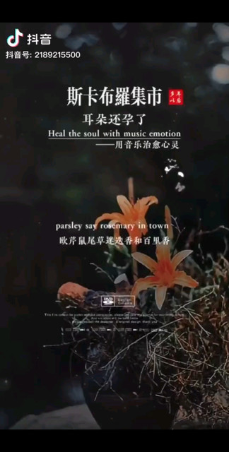 一首歌一个故事