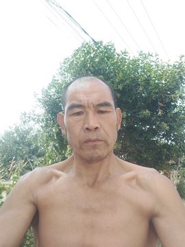 画画的复变甲的图片
