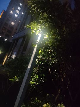 心中无结。。主播照片