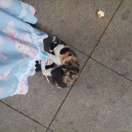 幼幼sama的图片