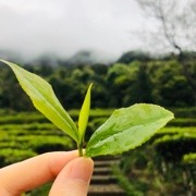无双e3头像