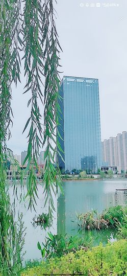 婷婷💕求过月底任务的图片