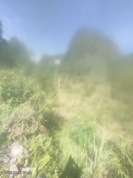 傲世英雄6主播照片