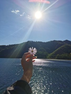 ღ瑋玮的图片