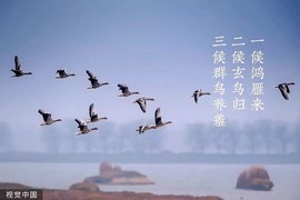 陌上╰.╯花开ღ主播照片