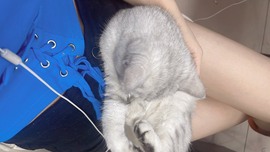 小小♥休主播照片