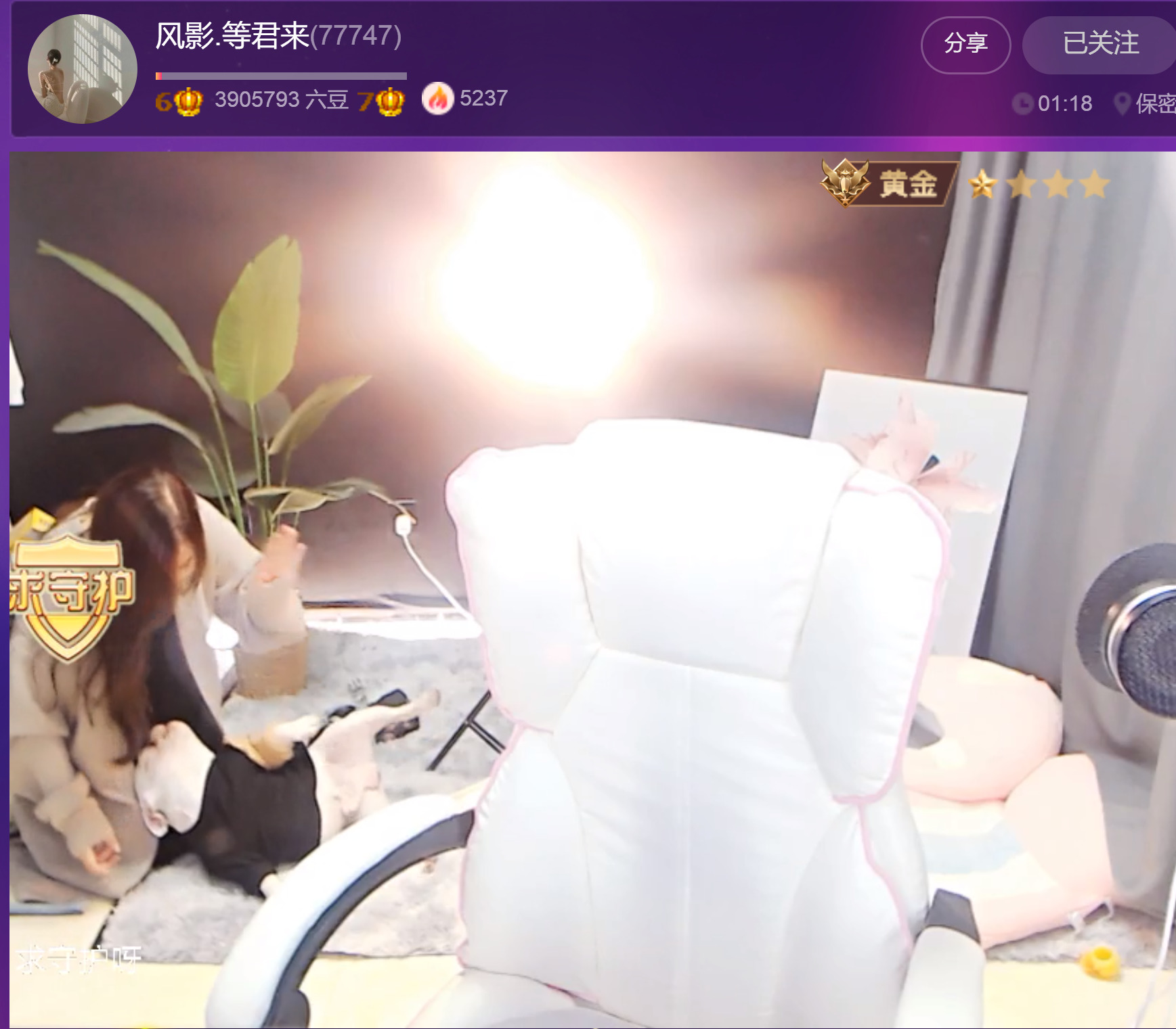 @一江東去@照片的图片