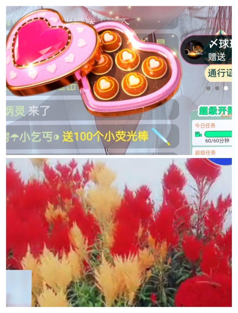婷婷💕感恩有你陪伴的图片