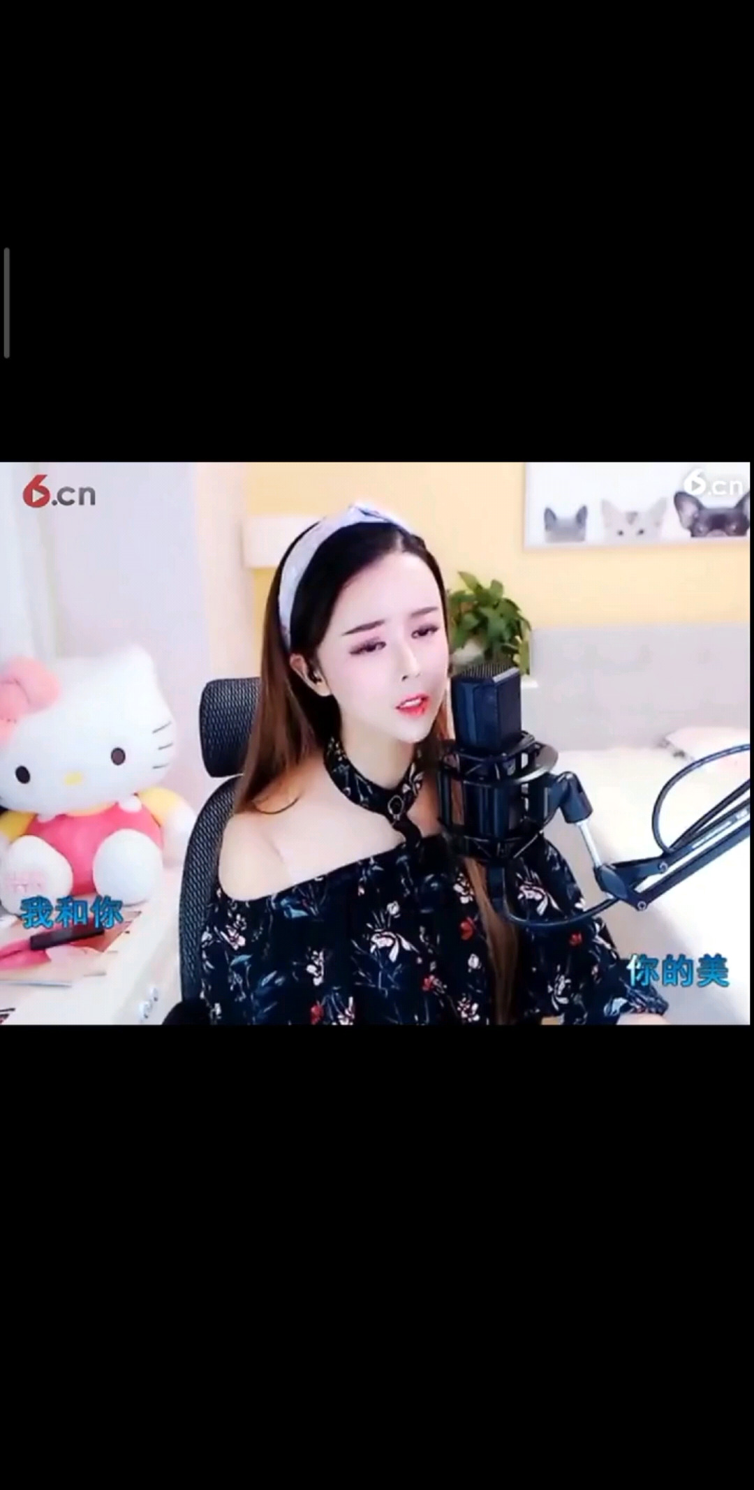 两只蝴蝶