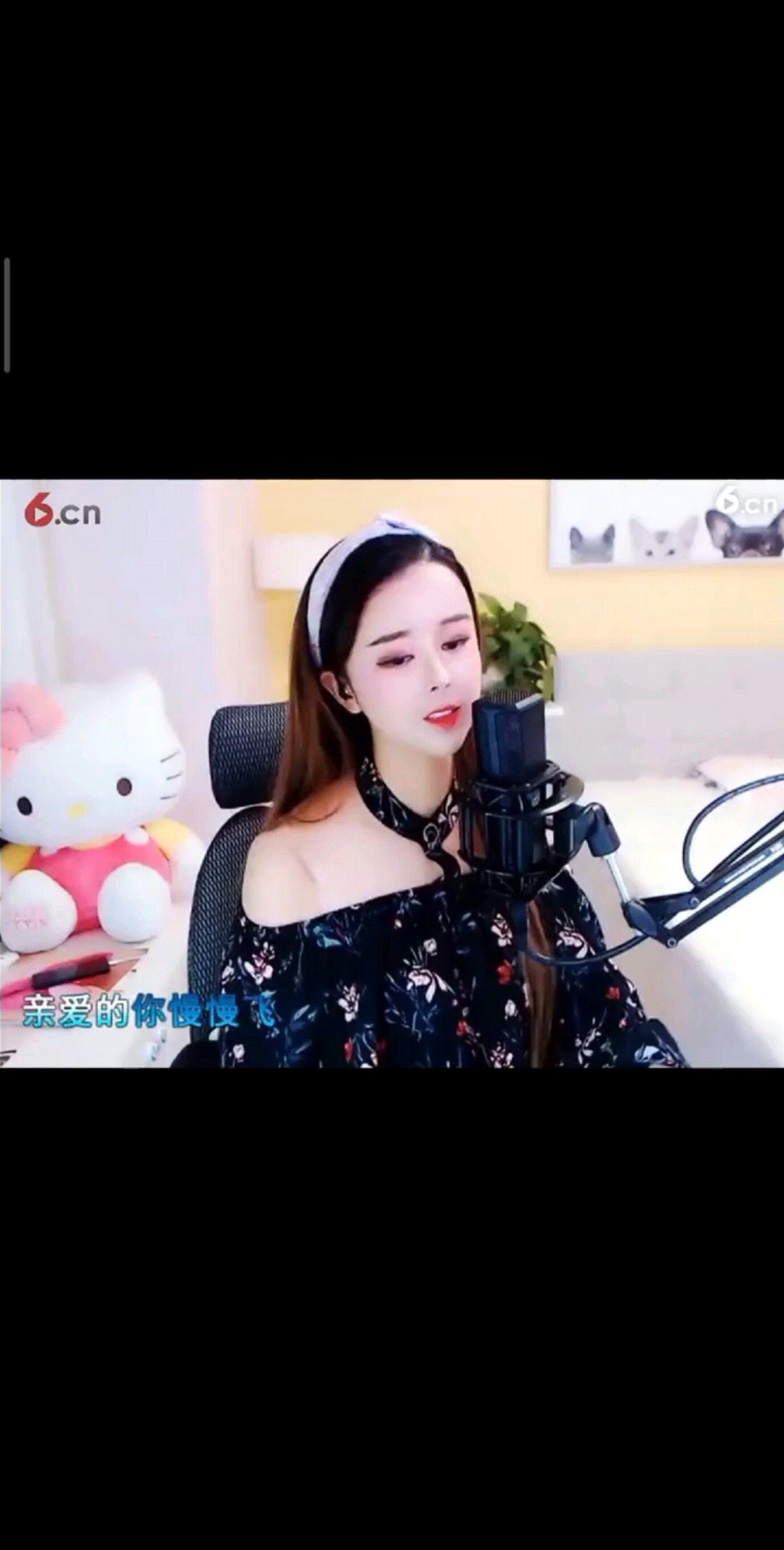 两只蝴蝶