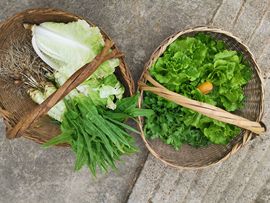 小雨♬看动态主播照片