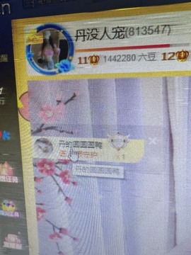丹从心开始求老板的图片