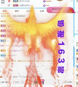 金麒麟安静唱歌🎤主播照片