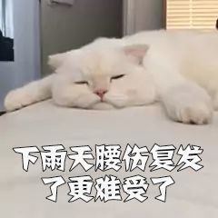 温暖宝宝💰想吃饱饱主播照片