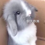情怀悠悠