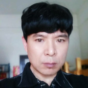 忙碌变色树蜥