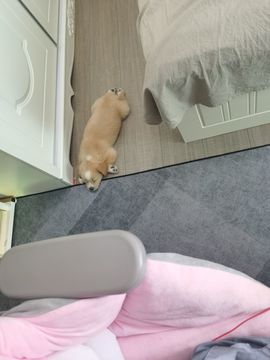 ღ瑋玮的图片