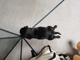 ღ瑋玮的图片