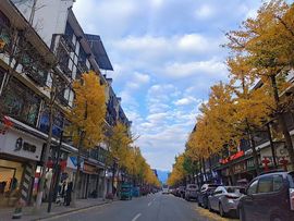 已是过去～/主播照片