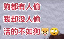 丑小鸭🍑愿有一束光主播照片