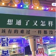 小郭总✈