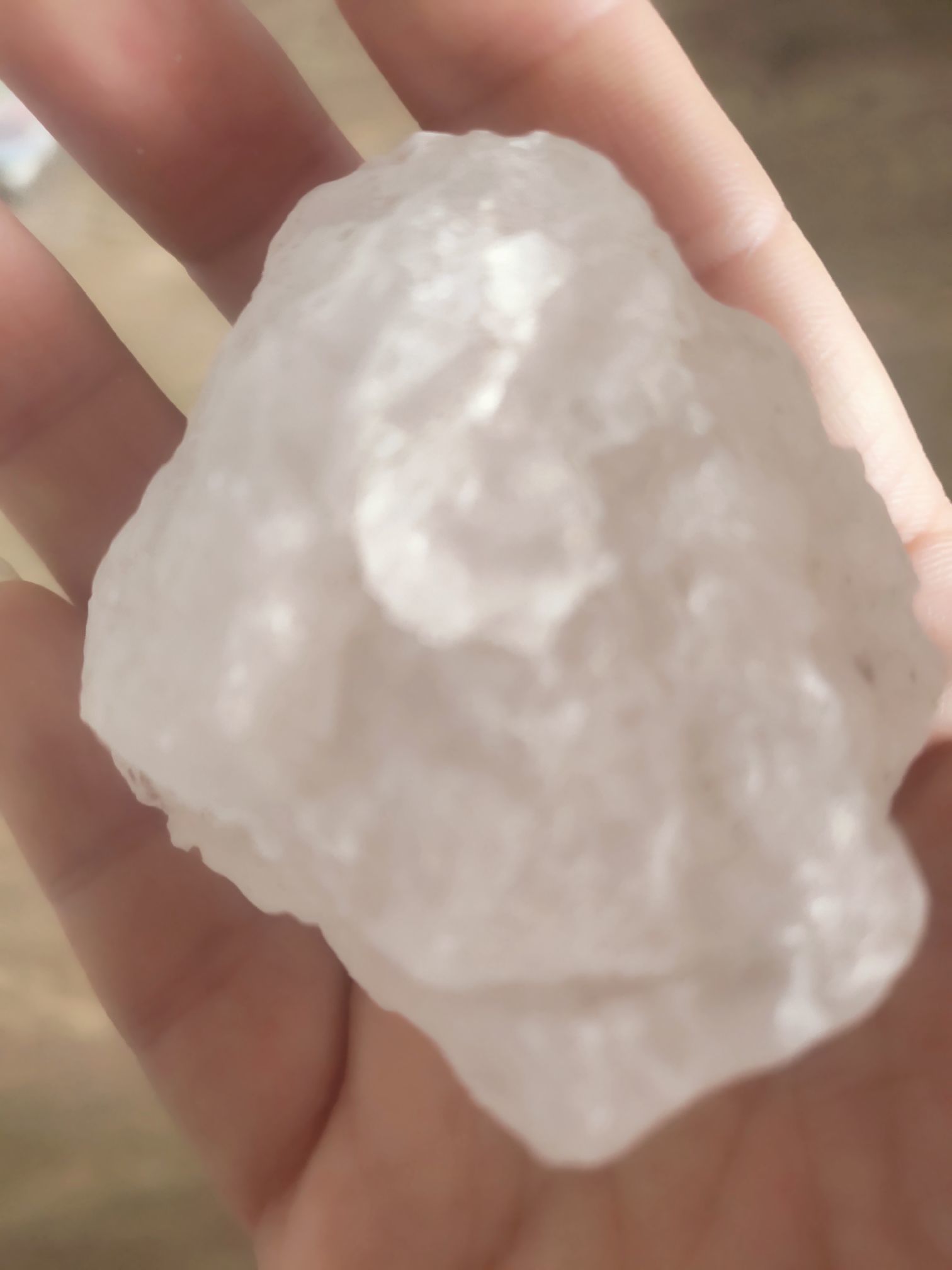 丑小鸭💞愿有一束光的图片