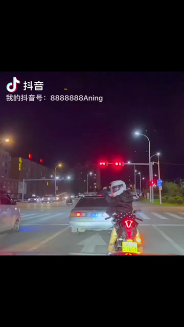 等我挥霍完自由 一定