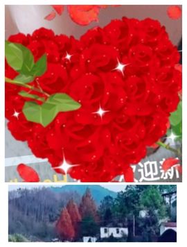 婷求三个火山升级的图片