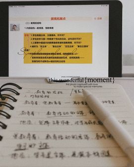 阳阳🌾晚上见主播照片