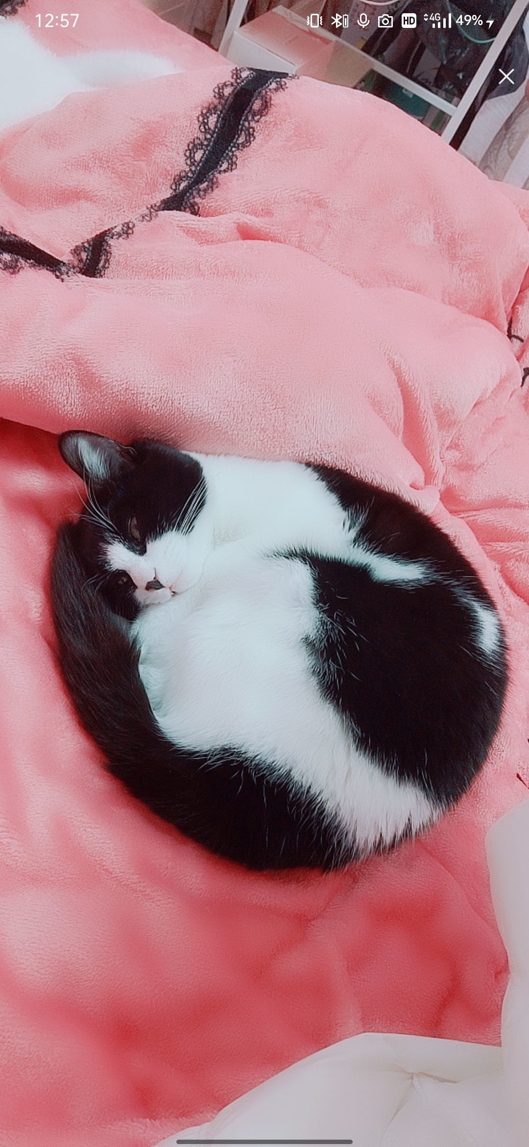 婷婷💕感恩有你陪伴的图片