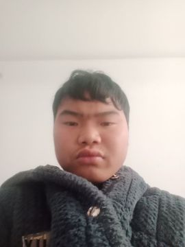 253698685的图片