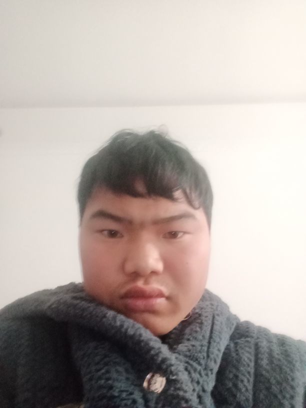 253698685的图片