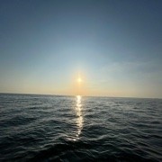 更应该会海报