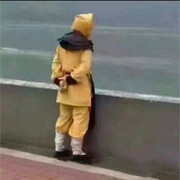 🏃孤独的野猴