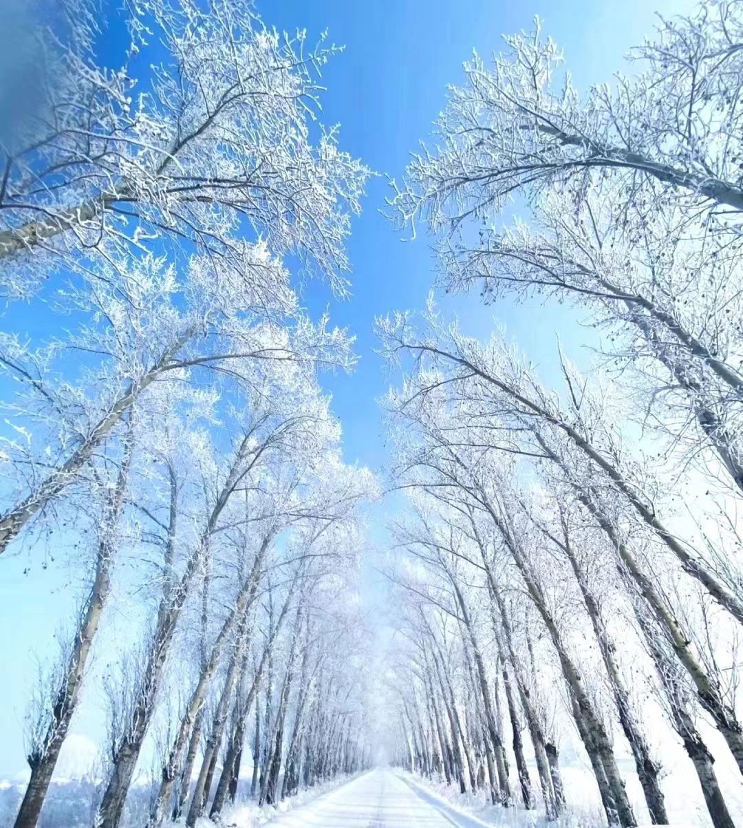 唔～飞机主播图片