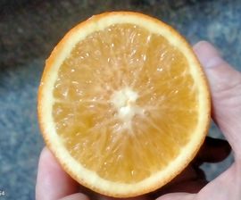 学尔思之主播照片