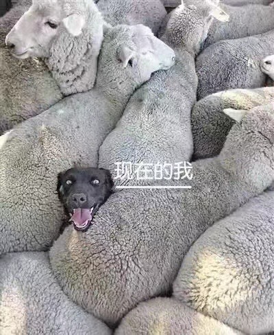 我家缺个你的主播照片