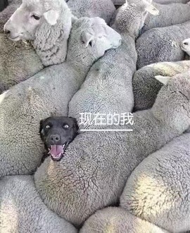 我家缺个你主播照片