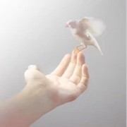 辰小王爷