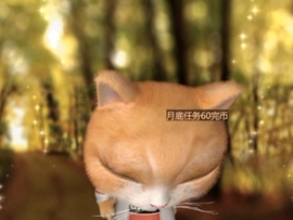 甜蜜未来乐在心怀主播照片