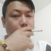 看电影的麝香猫爱海涛海报