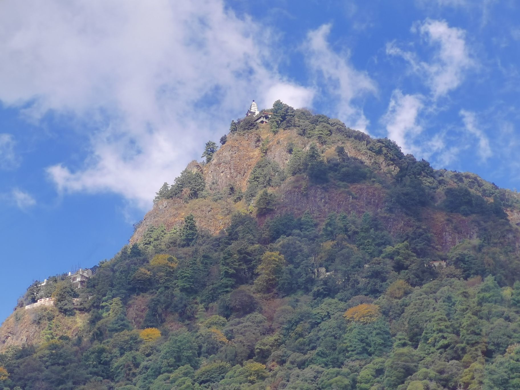 猴哥旅居代购的图片