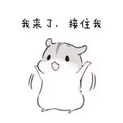 养只小羊976