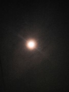 木稳稳761837主播照片