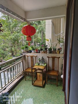戰神大元帥黎歌主播照片