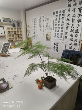 戰神大元帥黎歌主播照片