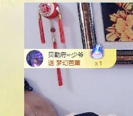 远扬、大个呀主播照片