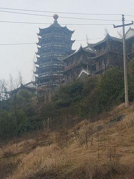 ლ依赖伱ლ主播照片