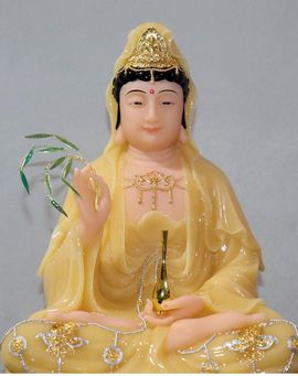 念念尊师萧剑主播照片